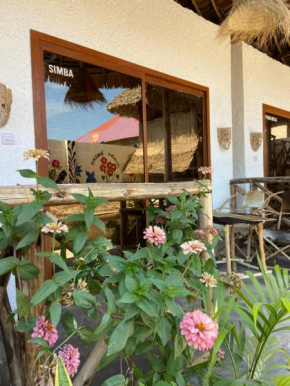 Bougainvillea nungwi zanzibar